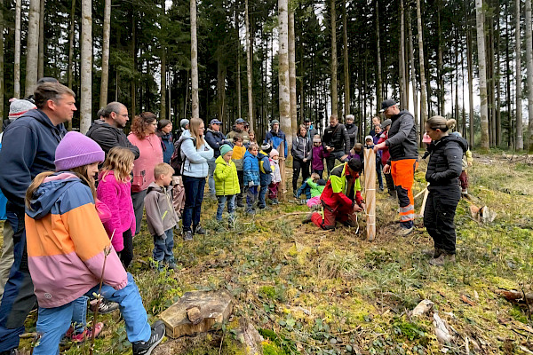 Bernhard Erwin zeigt wie die Jungpflanzen fachgerecht eingebracht und geschützt werden
